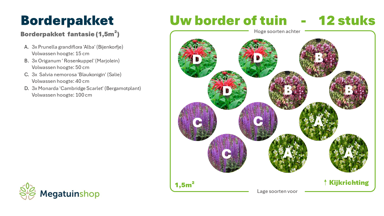 Borderpakket fantasie (1,5m2) - Tuinplanten