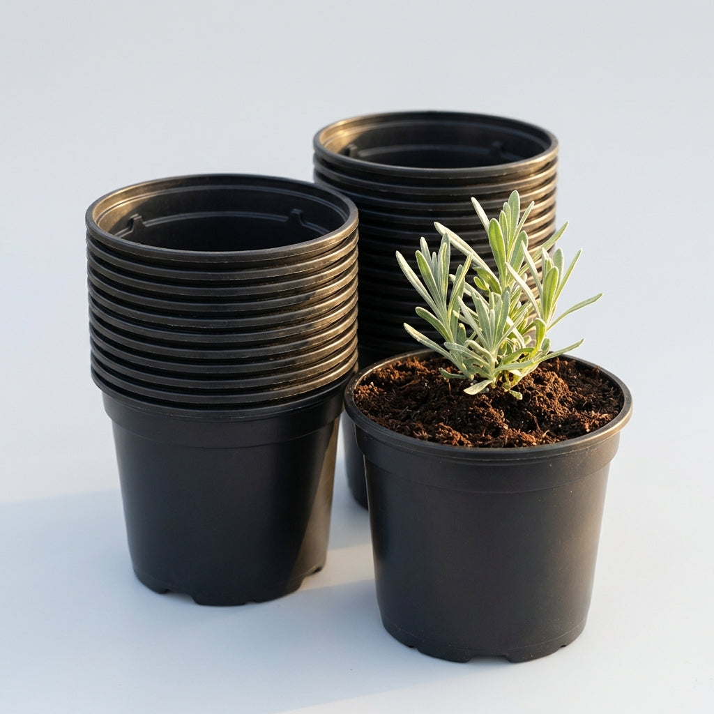 Kweekpot zwart – Ø10,5cm, hoogte 9cm - Kweekbenodigdheden