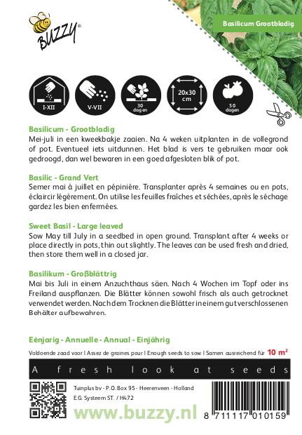 Basilicum Grootbladig - Zaden