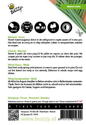 Bieslook Grove - Zaden