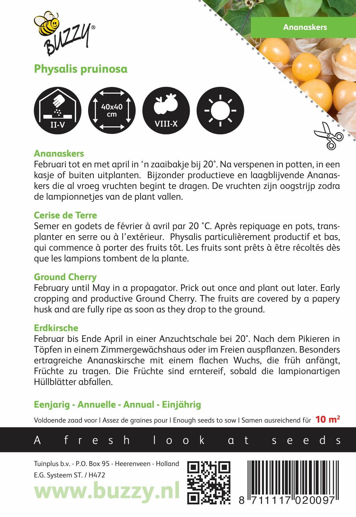 Ananaskers Physalis pruinosa - Zaden