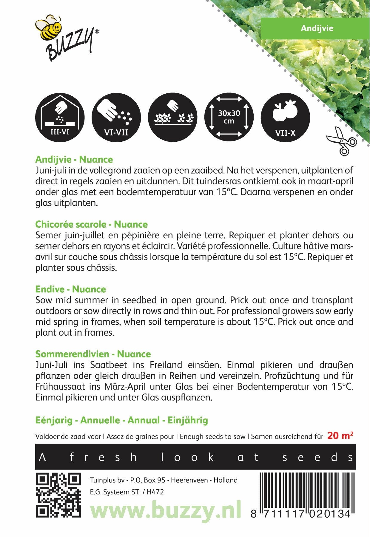 Andijvie Nuance - Zaden