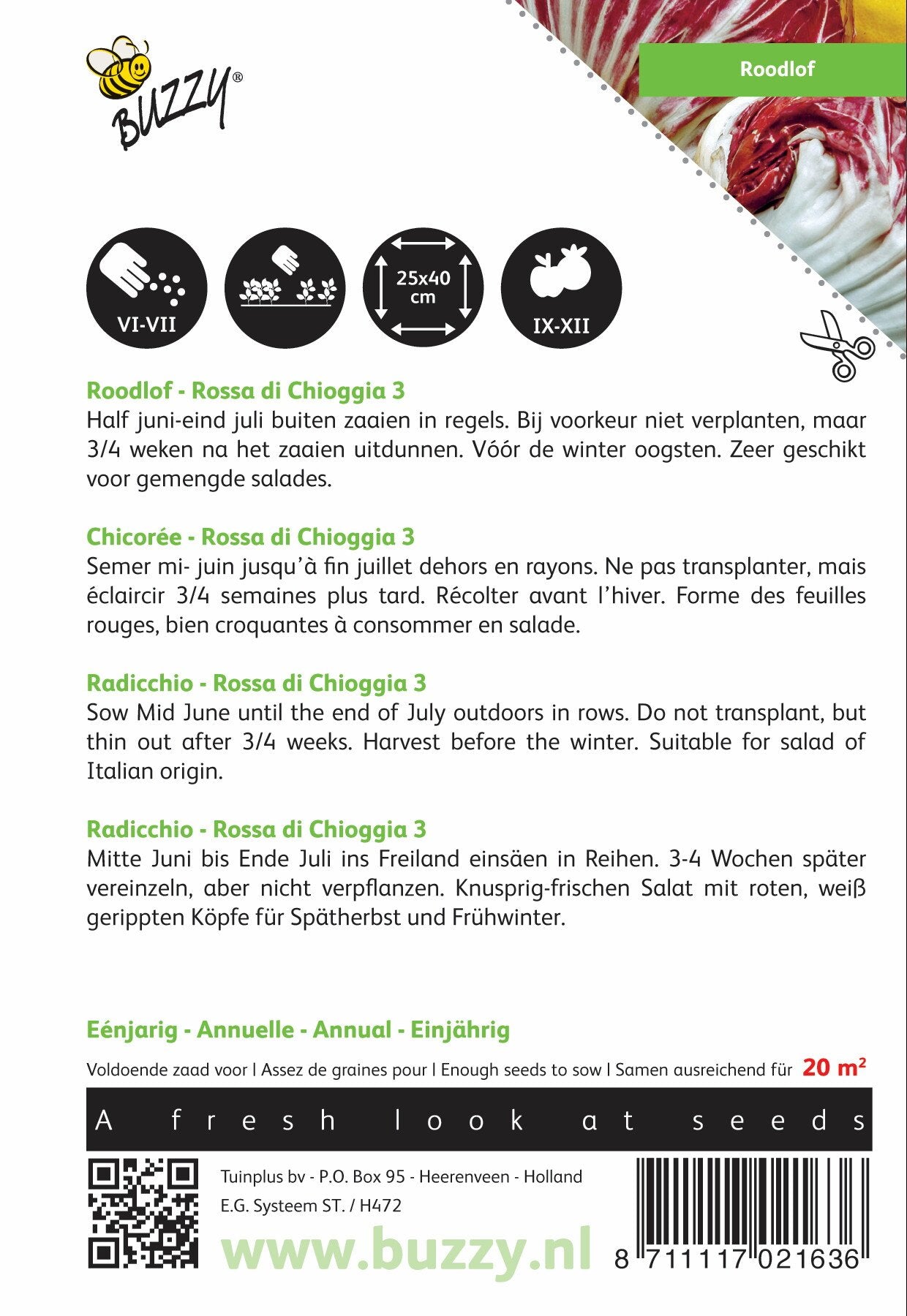 Roodlof Rossa di Chioggia 3 - Zaden