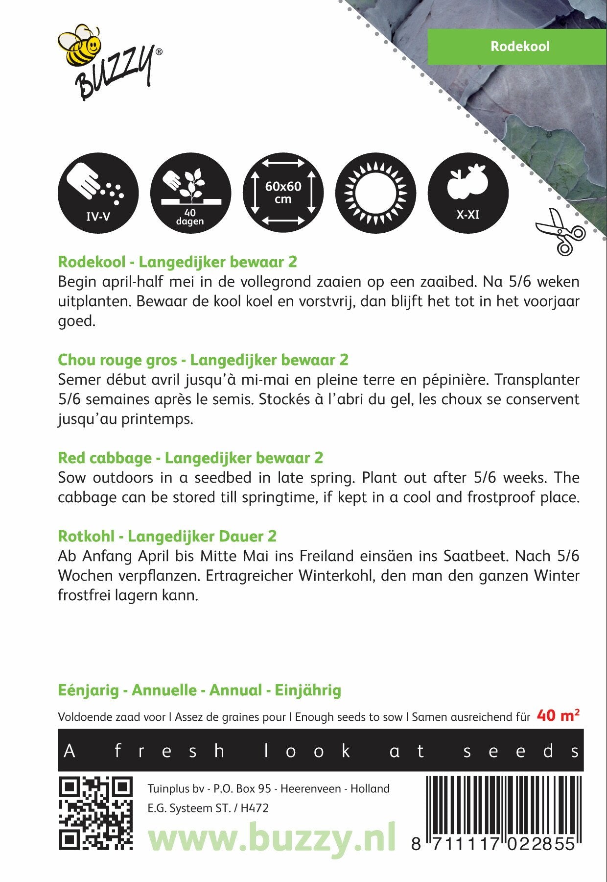 Rodekool Langedijker Bewaar 2 - Zaden