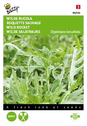 Rucola Selvatica - Zaden