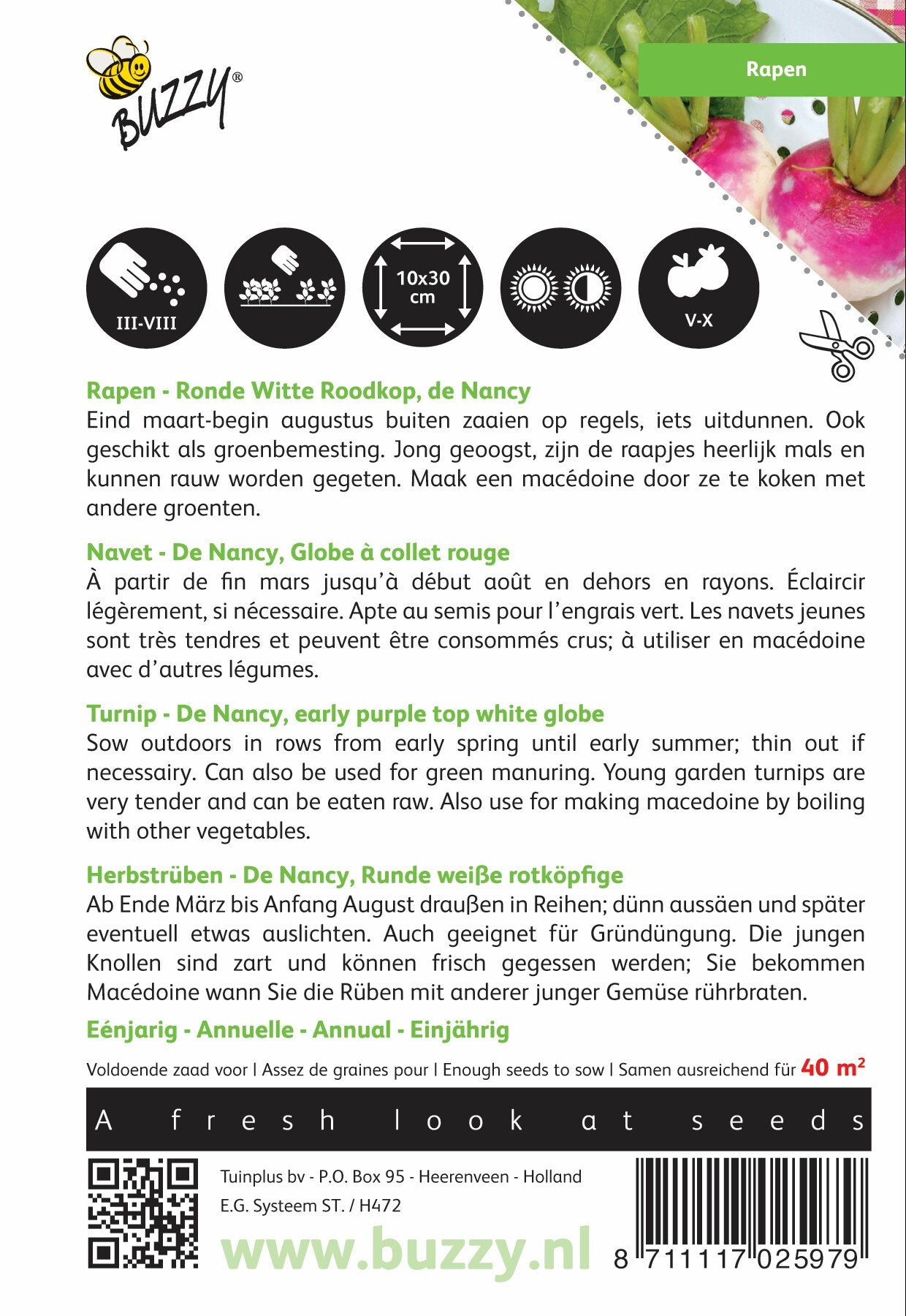 Rapen Ronde Witte Roodkop, de Nancy - Zaden