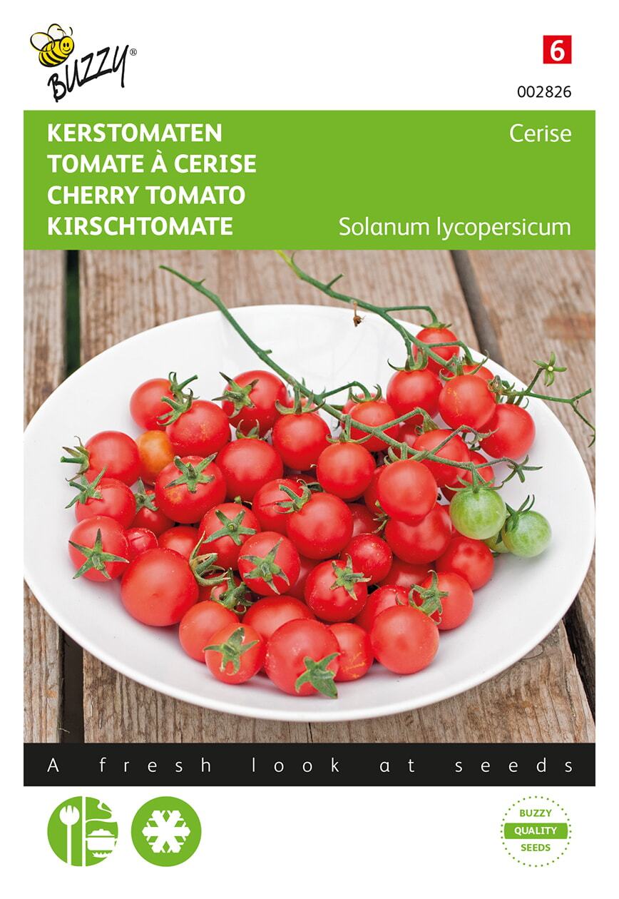 Kerstomaat Cerise - Zaden