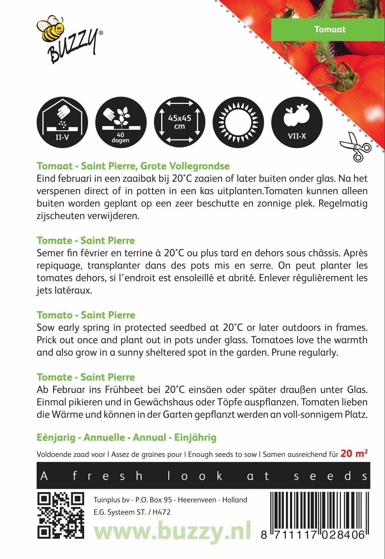 Tomaat Saint Pierre, Grote Vollegrondse - Zaden