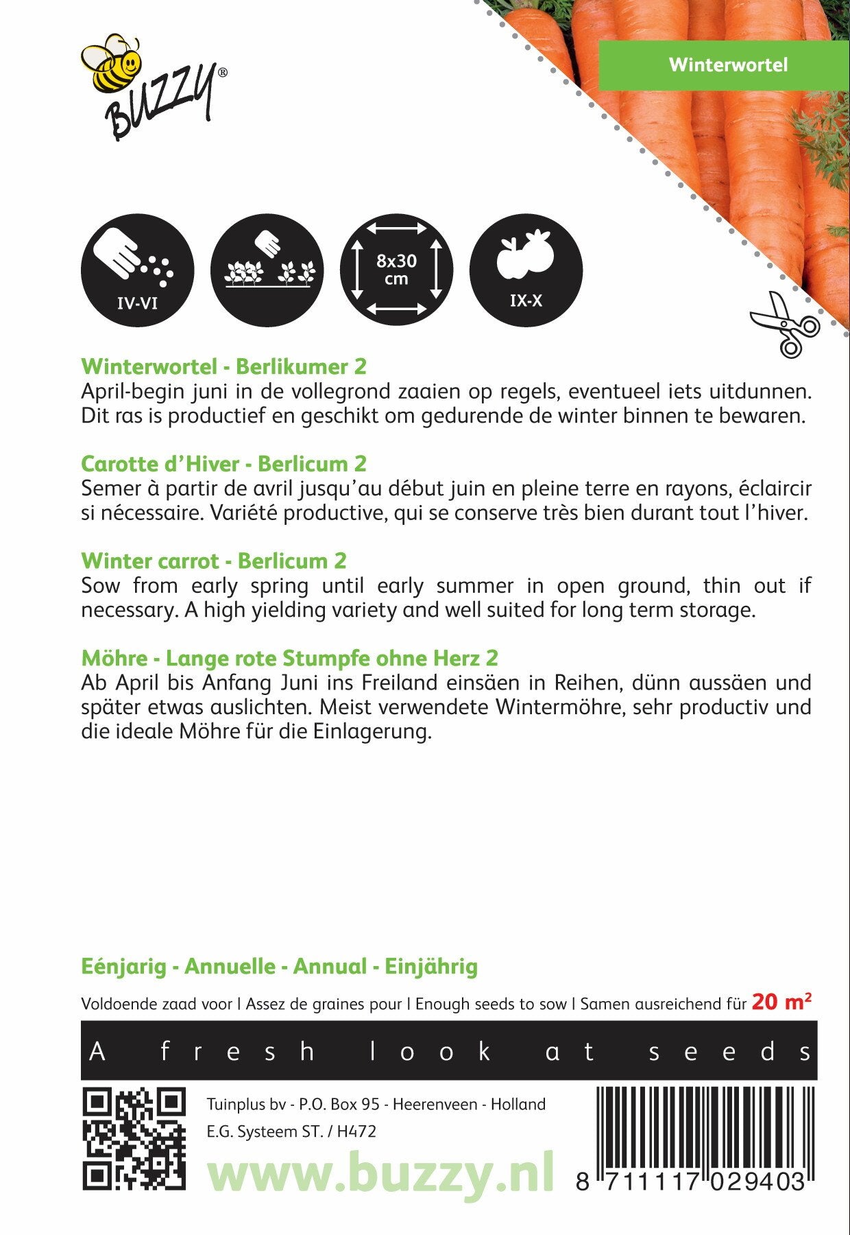 Winterwortel Berlikumer 2 - Zaden
