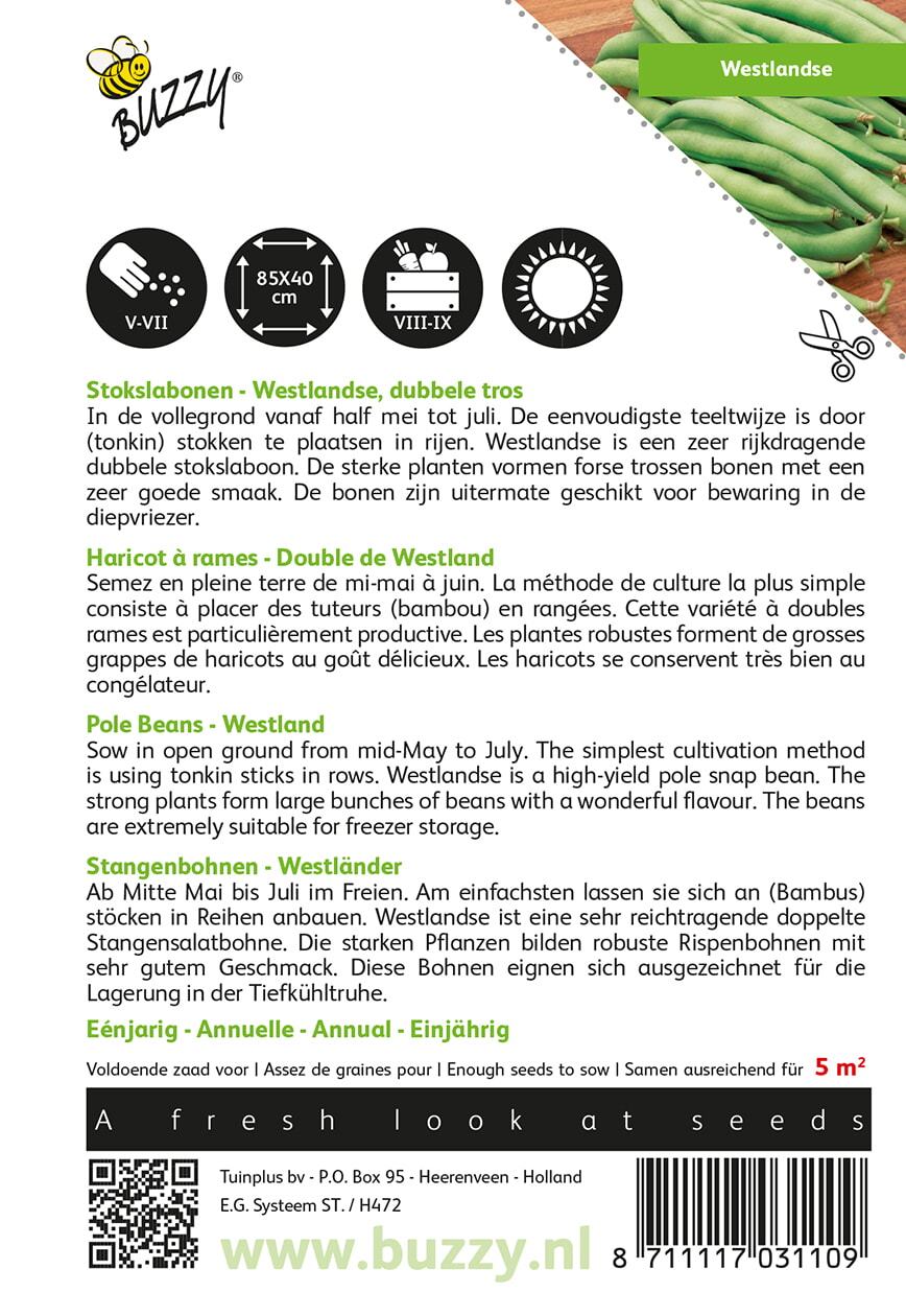 Stokslabonen Westlandse Dubbele, zonder draad - Zaden