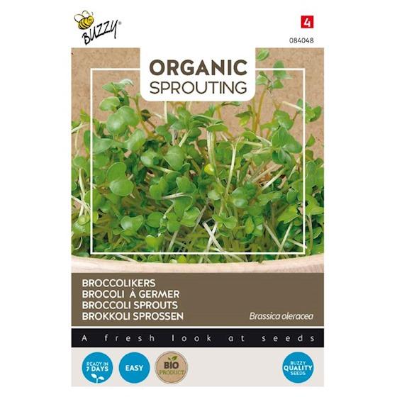 Sprouting Broccolikers (BIO) - Zaden