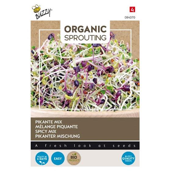 Salademengsel pikant (BIO) - Zaden