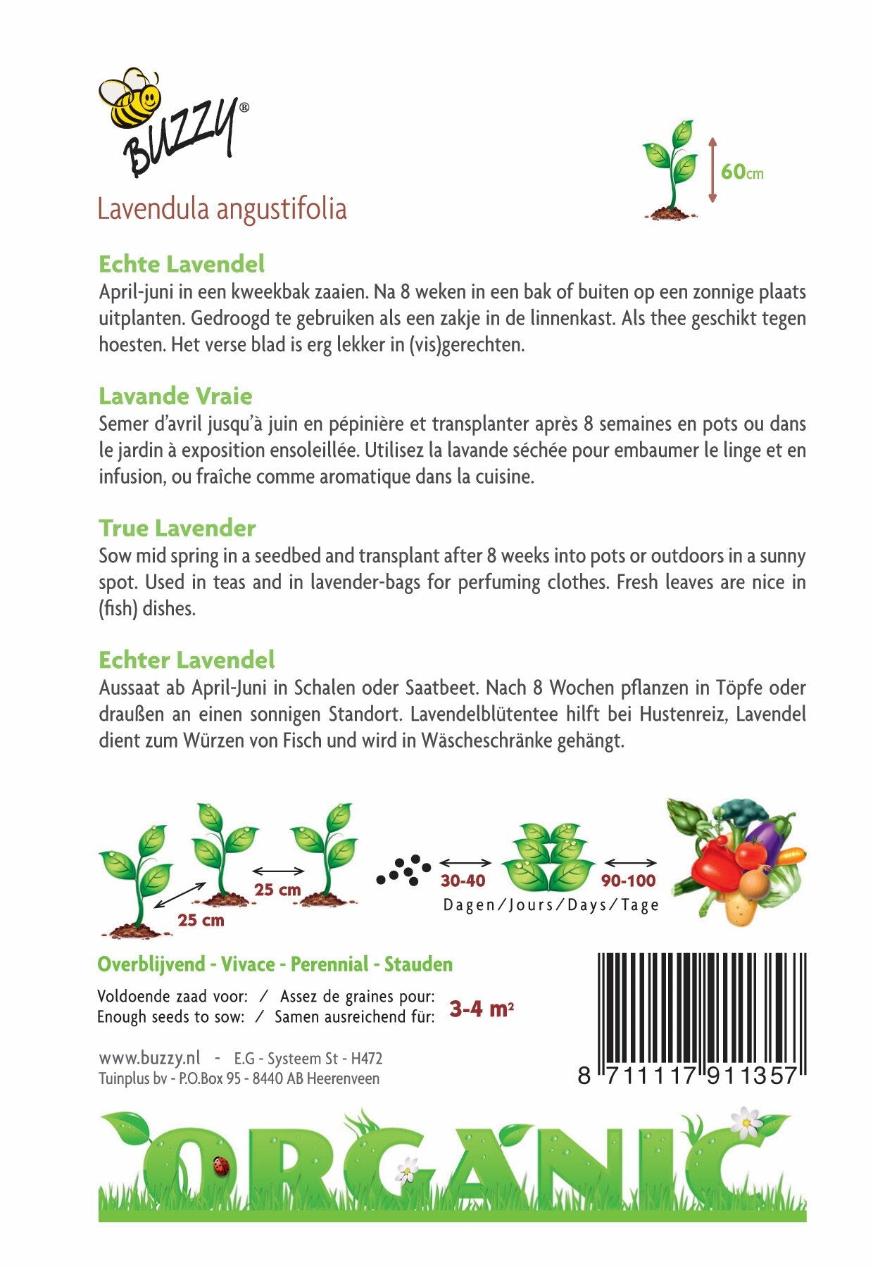 Echte Lavendel (BIO) - Zaden