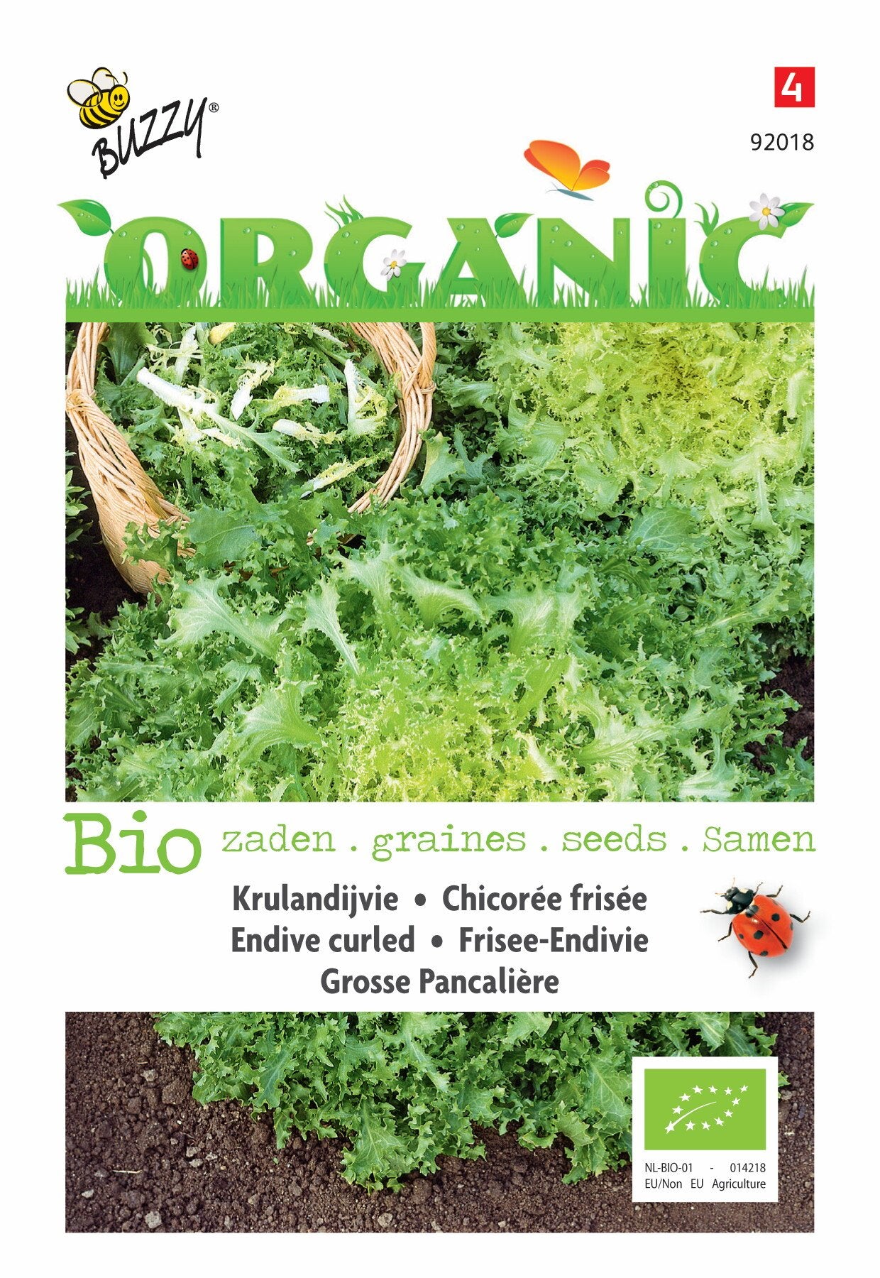 Krulandijvie Grosse Pancalière (BIO) - Zaden