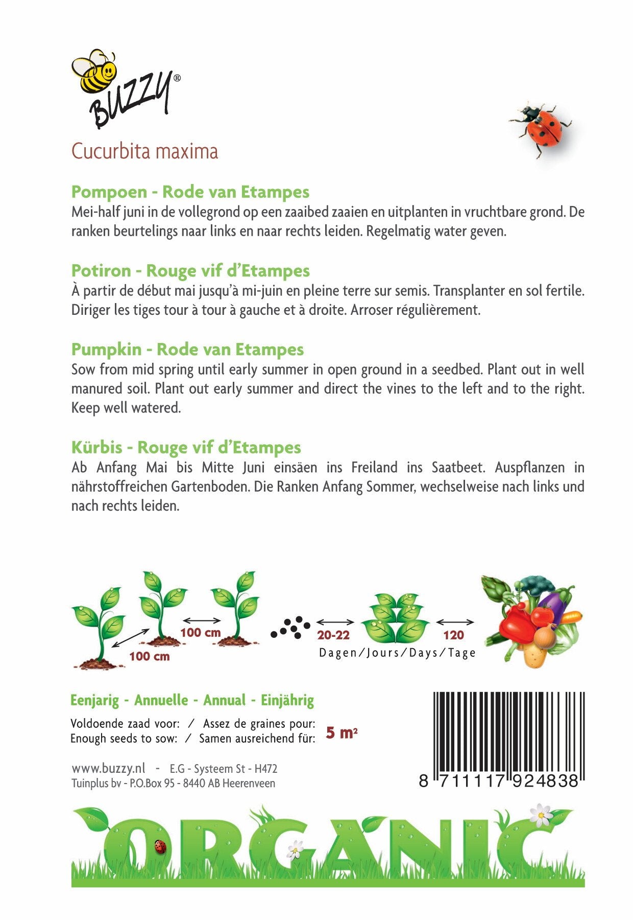Pompoen Rode van Etampes (BIO) - Zaden
