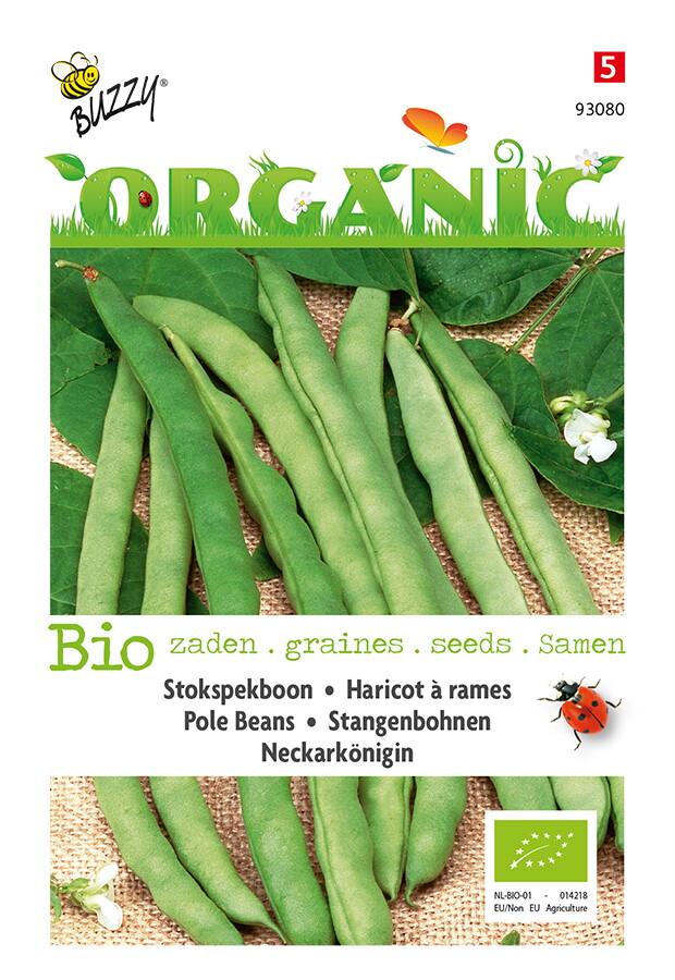 Stokspekboon Neckarkönigin (BIO) - Zaden