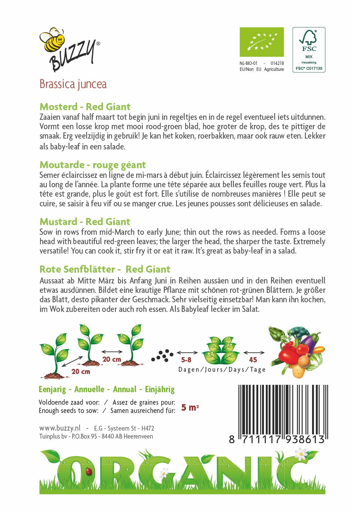 Mosterd Red Giant (BIO) - Zaden