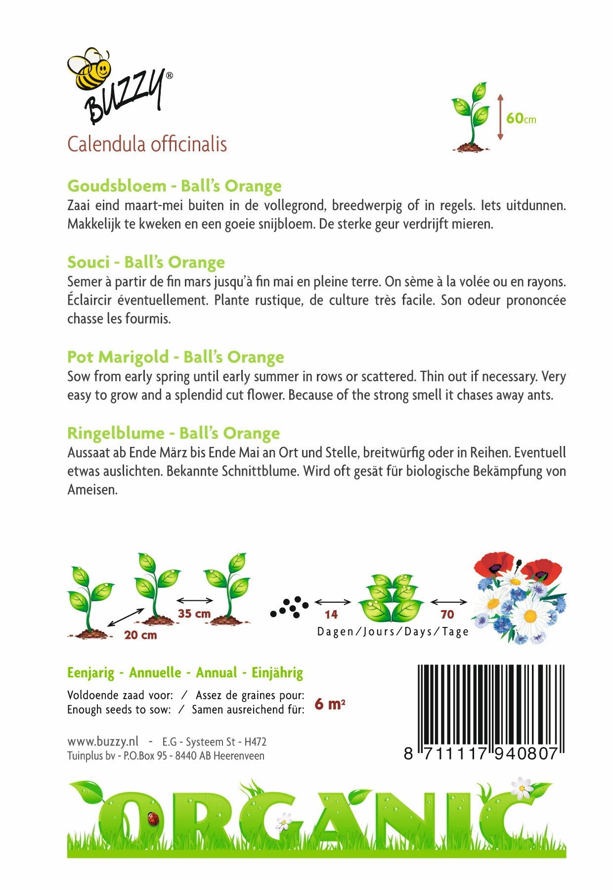 Calendula, Goudsbloem Ball's Orange (BIO) - Zaden
