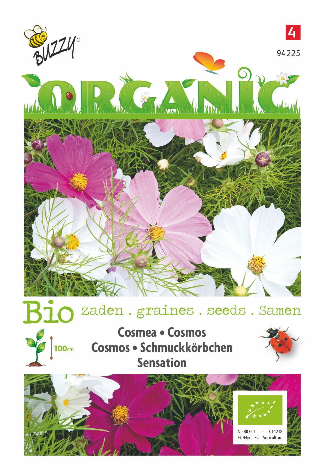 Cosmos Sensation (BIO) - Zaden