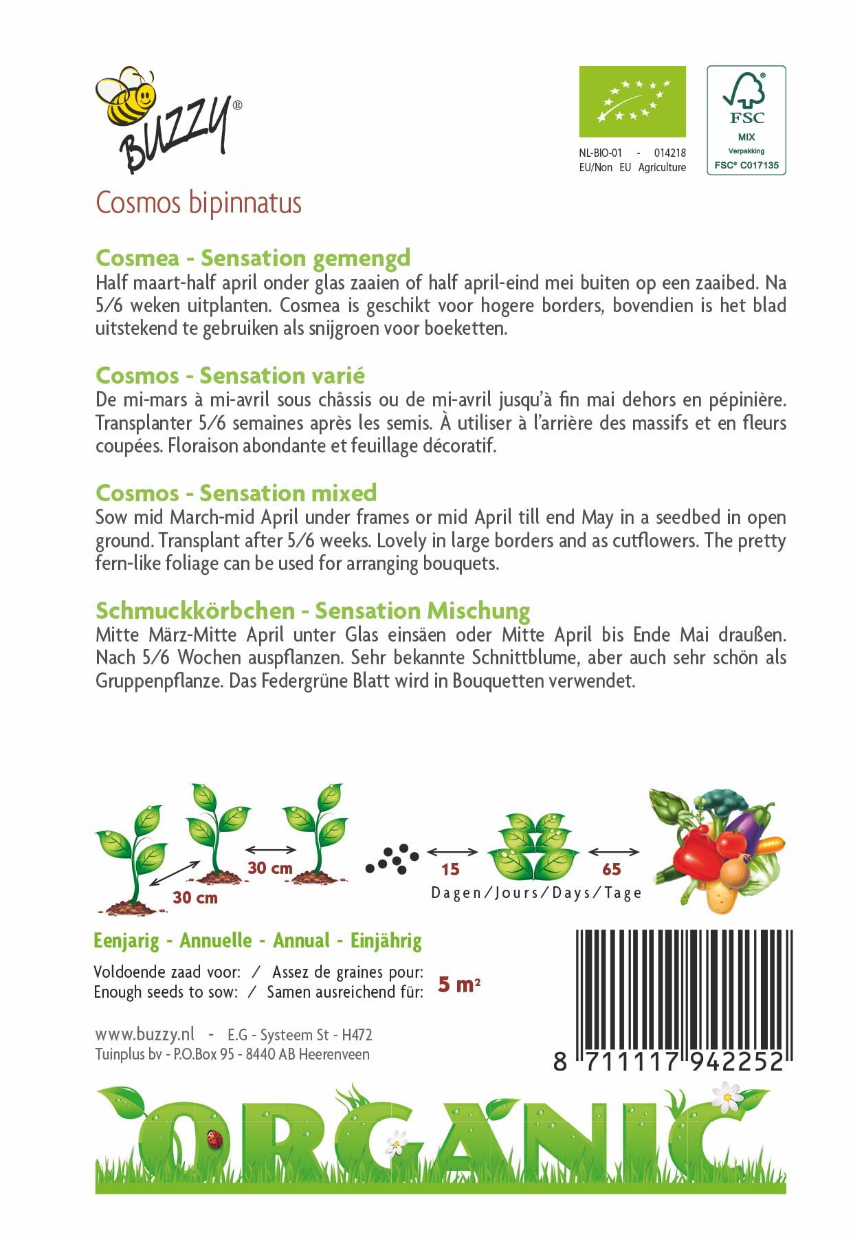 Cosmos Sensation (BIO) - Zaden