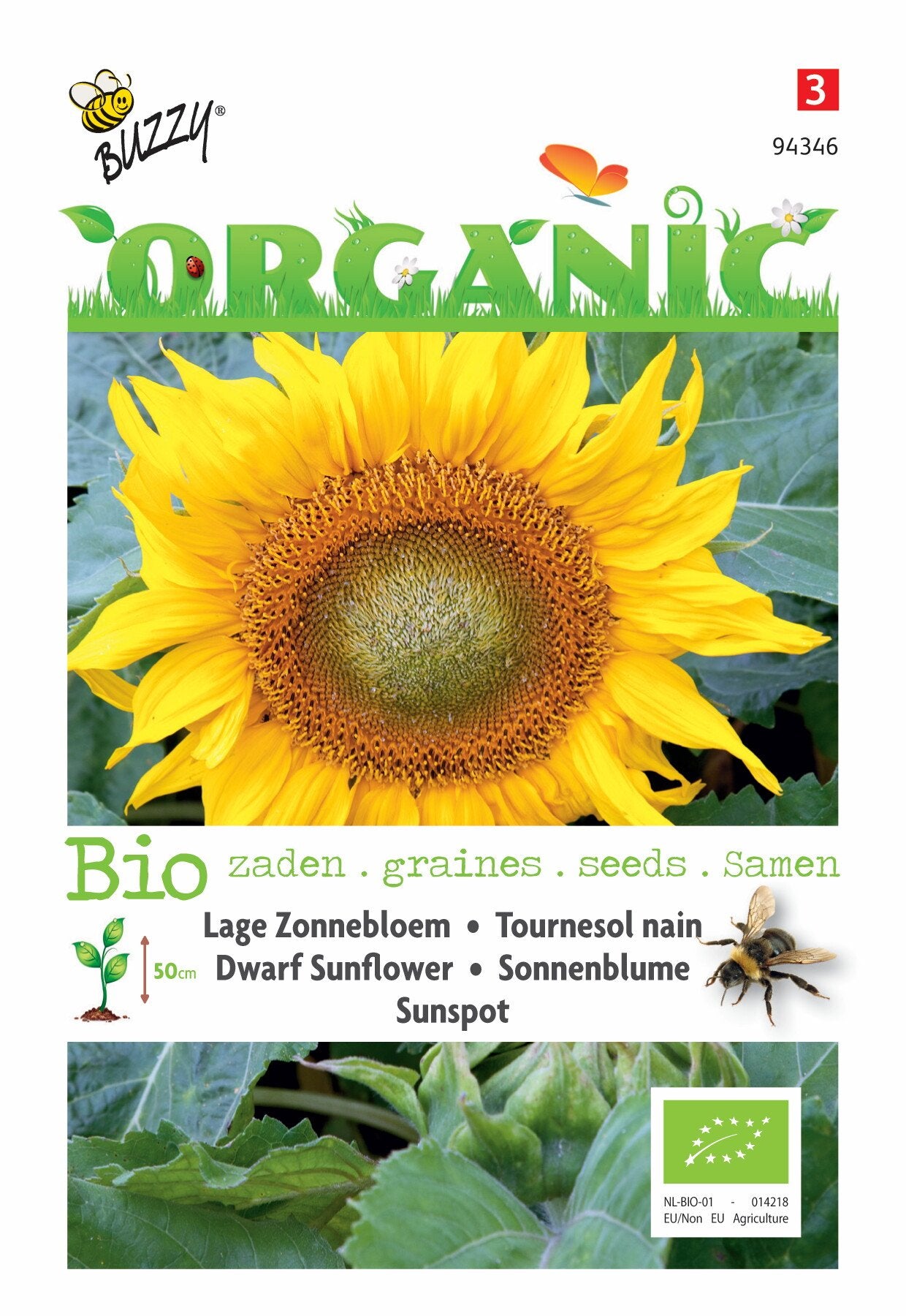 Helianthus, Lage zonnebloem Sunspot (BIO) - Zaden
