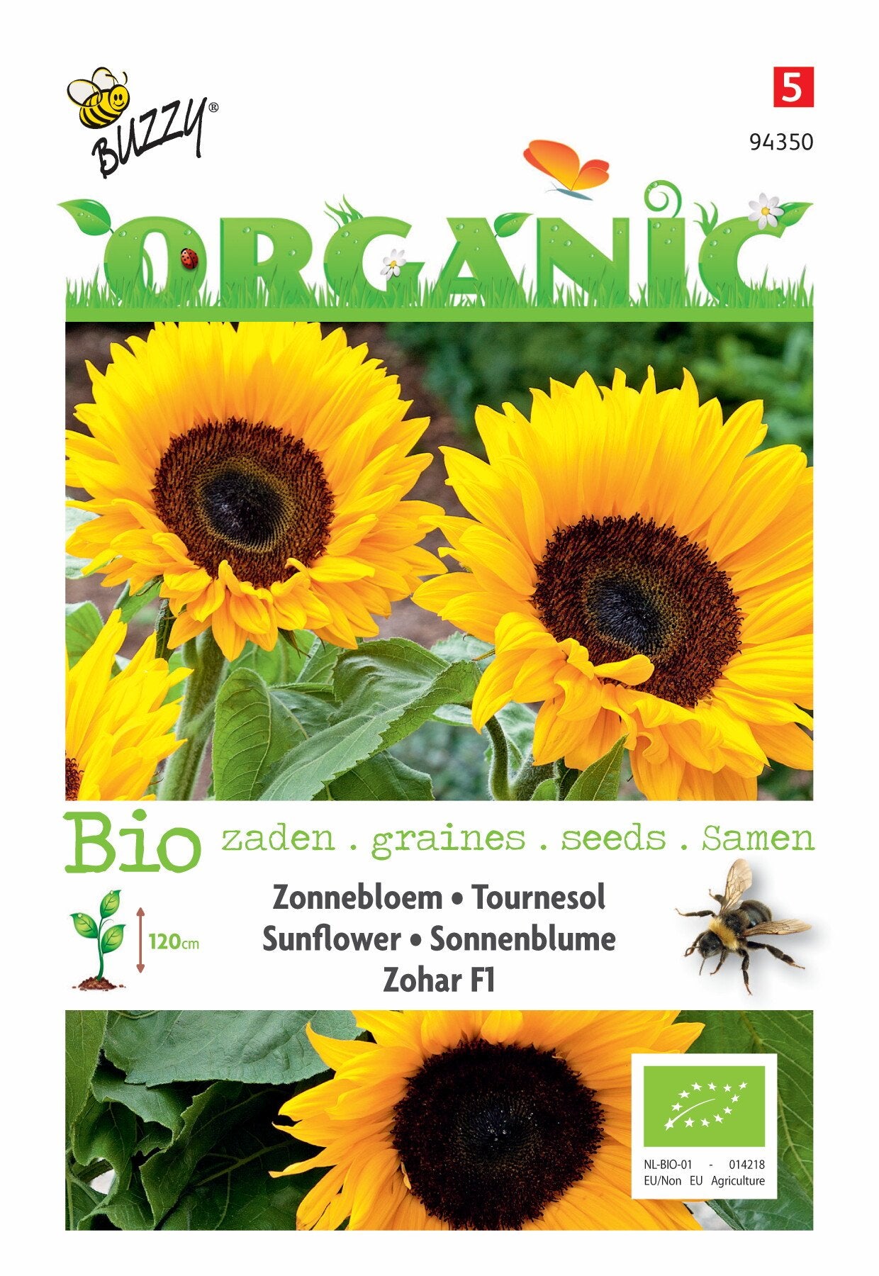 Helianthus, Zonnebloem Zohar F1 (BIO) - Zaden