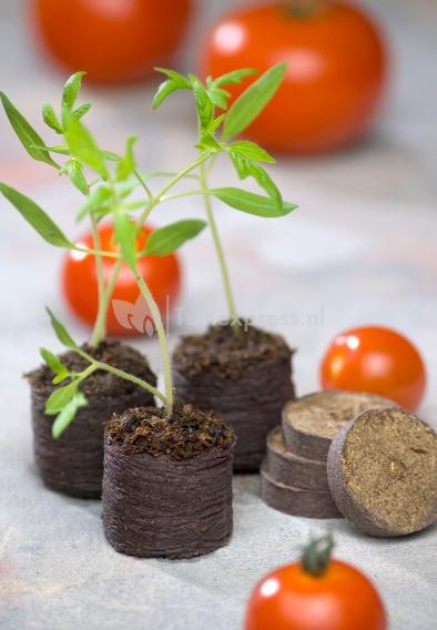 Turftabletten Ø4cm 48 stuks - Kweekbenodigdheden