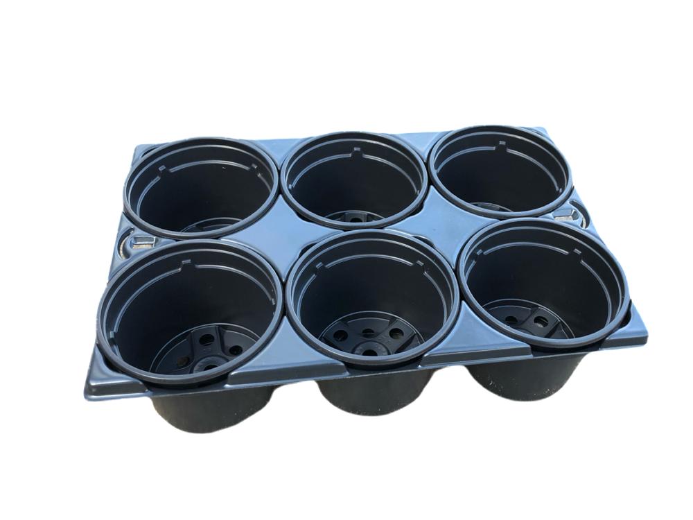 Kweektray met 6 potjes - 9cm - Kweekbenodigdheden