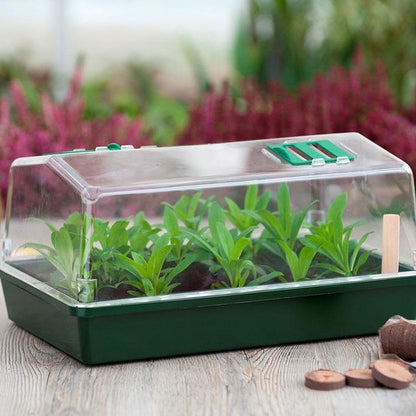 Kweekkas met ventilatie groen H18x37,5x24cm - Kweekbenodigdheden