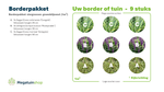 Borderpakket siergrassen groenblijvend (1m2)