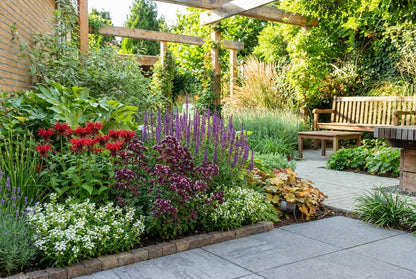 Borderpakket  fantasie (1,5m2) - Tuinplanten