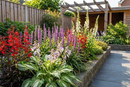 Borderpakket paars, rood & wit (1m2) - Tuinplanten