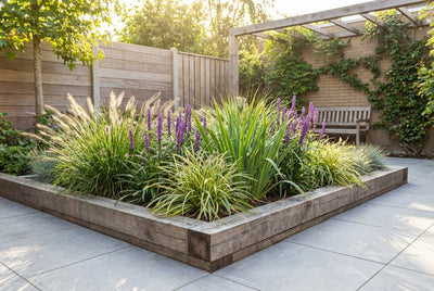 Borderpakket siergrassen groenblijvend (1m2)