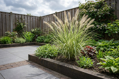 Lampepoetsersgras (Pennisetum 'Sky Rocket') - Lampepoetsersgras