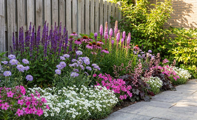 Borderpakket kleurrijke mix (3,5m2)