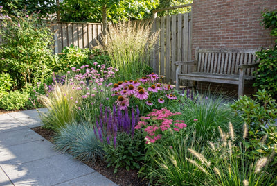 Borderpakket siertuin (3,5m2)