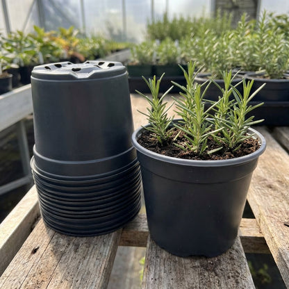 Kweekpot zwart – Ø19cm, hoogte 15cm, 3 liter - Kweekbenodigdheden