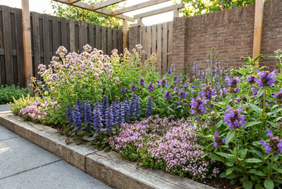 Borderpakket voor bijen (1,5m2)