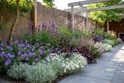 Borderpakket zeer lange bloeiers (3,5m2) - Tuinplanten