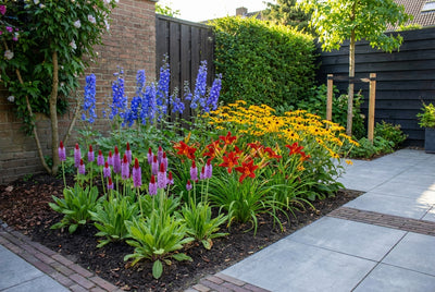 Borderpakket langbloeiende mix (1m2)