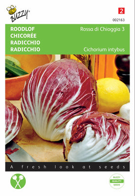 Roodlof Rossa di Chioggia 3
