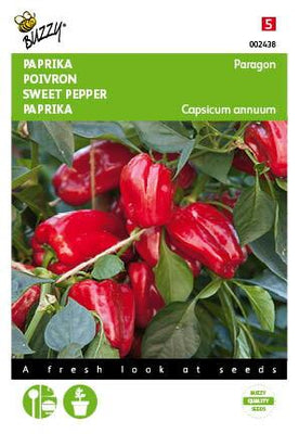 Paprika Snack Patio - rood - Paragon