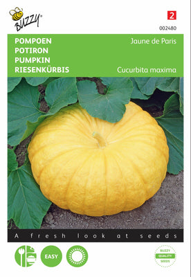 Pompoen Gele Reuzen