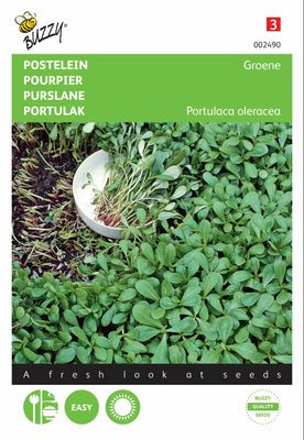 Groene Postelein
