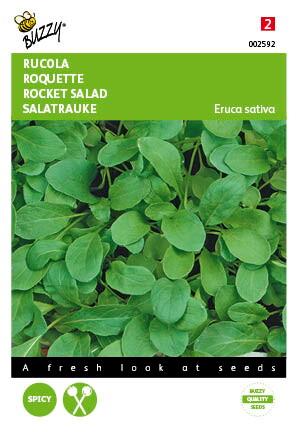 Rucola, Italiaanse snijgroente - Zaden