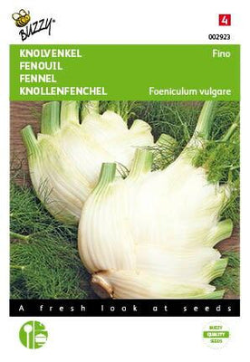 Venkel (Zefa) Fino