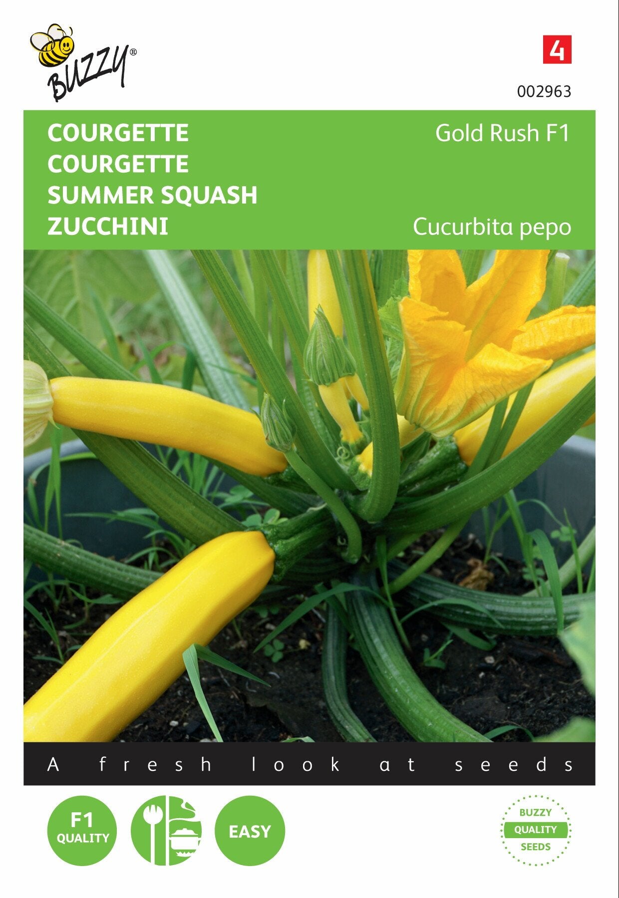 Courgette Gold Rush F1 - Zaden