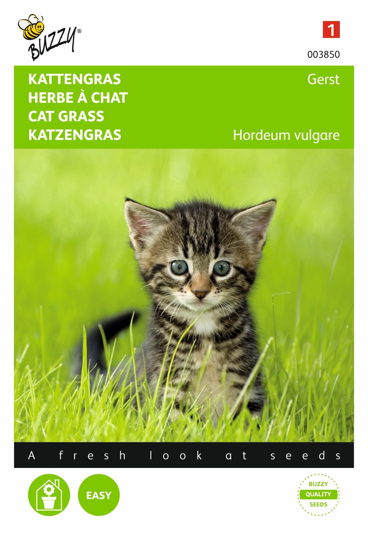 Kattengras Gerst - Zaden