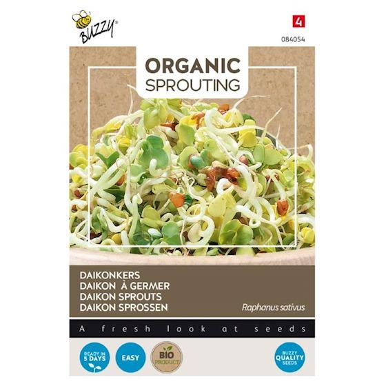 Sprouting Daikonkers (BIO) - Zaden
