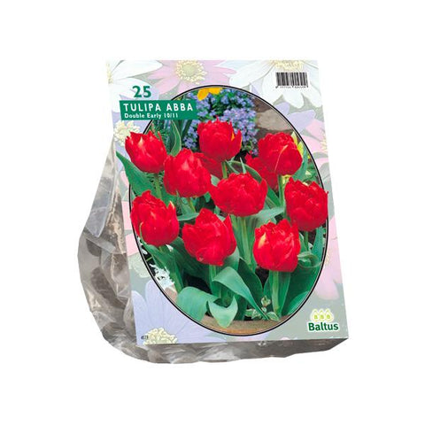 Tulipa Dubbel Vroeg Abba - 20 stuks